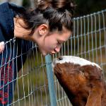 Jr Vet Tyler Krieder kisses a willing Ewe. DogE911 is here to assist ALL animals!