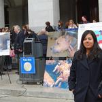 Youth assistant, Christina George, stands in front of a press conference at the California State Capitol for Animal Lobby Day. (Feb. 2009)