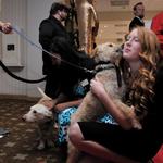 Katie gets love from an adoptable pup during a function. 