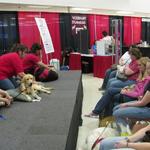 Genete M. Bowen gives pet massage instruction during the Animal Planet Expo in Atlanta, GA. (April 2009)