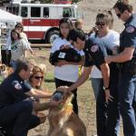 Firefighters learn Animal Triage during a demonstration given by Genete M. Bowen.