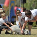 Genete works with Jr Vets to explain what to do during a pet emergency. 