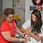 Genete & Jr Vet Tyler Krieder use Chloe to demo how to check a dog's vital signs. 